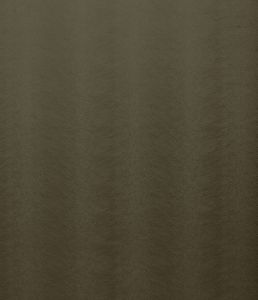 Allegra Olive