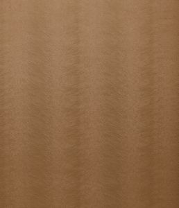 Allegra Plaster