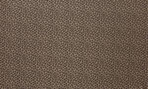 Amur Bronze