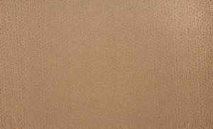 Amur Clay
