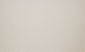 Amur Ivory