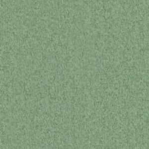 Ashari Aloe - Aqua Clean