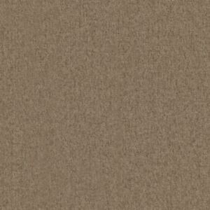 Ashari Fawn - Aqua Clean 51 (Vancouver -Ac -Infr)