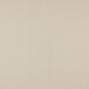 Berber Parchment