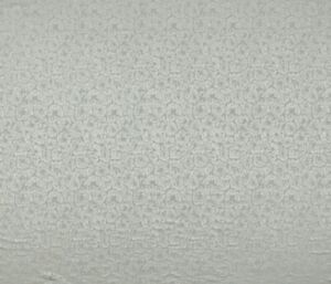 Caninia Limestone