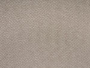 Esket Plaster
