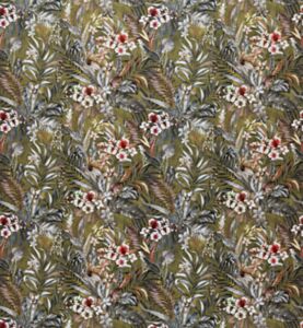 Kew Olive