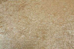 Kassaro Wheat