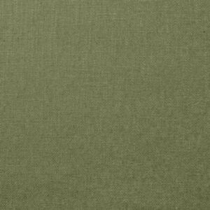 Olenka Olive
