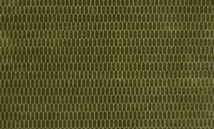 Rialta Fern