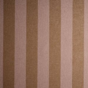 Sanvi Plaster