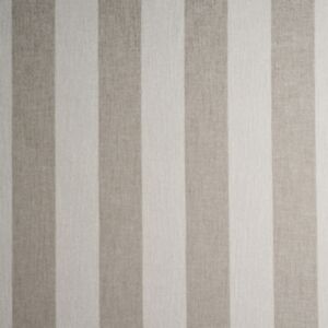 Sanvi Wheat
