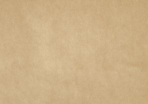 Savona Barley
