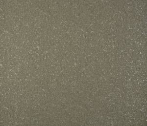 Serpentine Bronze