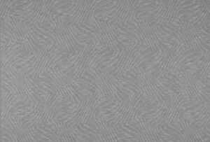 Vortex Shadow