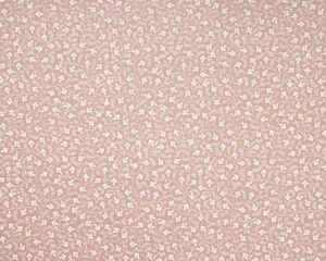 Campion Plaster