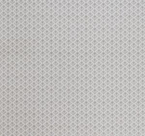 Ladyfern Dark Dove Grey