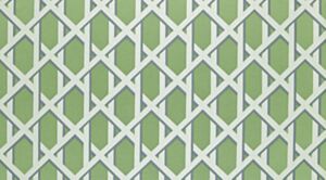 Lattice Kiwi