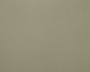 Loire Olive
