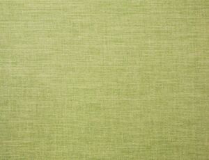 Lunar Grass