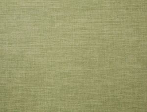 Lunar Olive