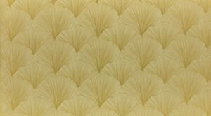 Maidenhair Mimosa