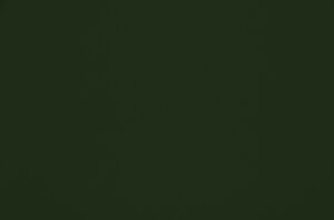 Omari Forest 79