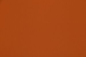 Omari Nectarine 56