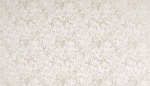 Poplar Ivory