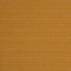 Raffia Clementine