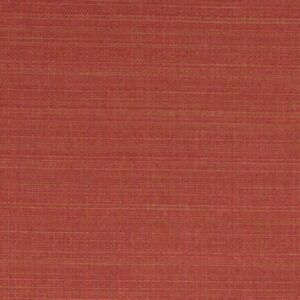 Raffia Coral