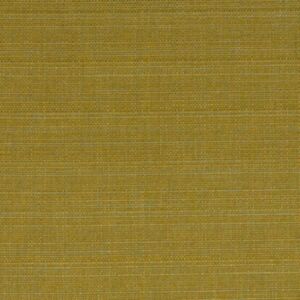 Raffia Gold