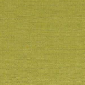 Raffia Lime