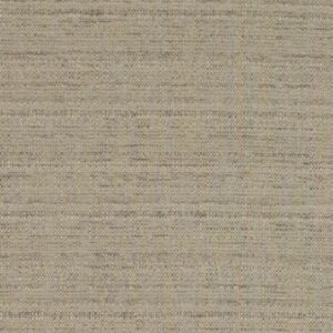 Raffia Shell