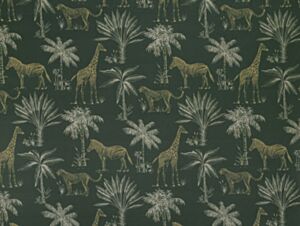 Safari  Fern