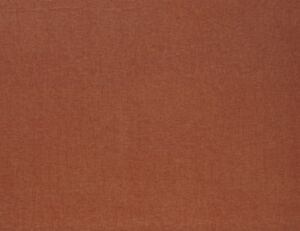 Saluzzo Apricot 319