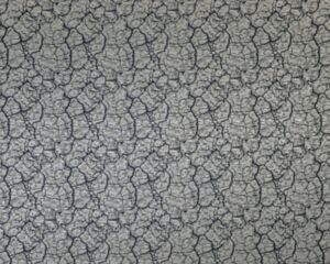 Tectonic Fossil