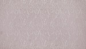 Waltham Lavender