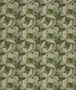 Acanthus Nettle