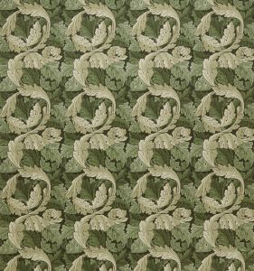 Acanthus Velvet Nettle