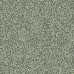 Acorn Eucalyptus