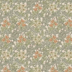 Bower Fern