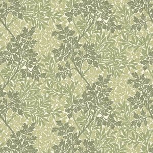 Foliage Fern