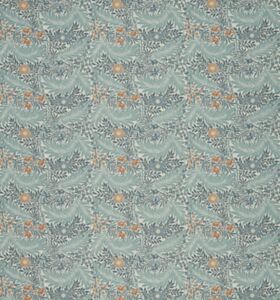 Larkspur Woad