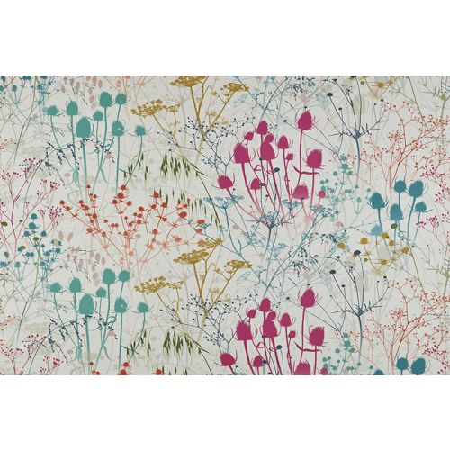 Summer Border Rainbow