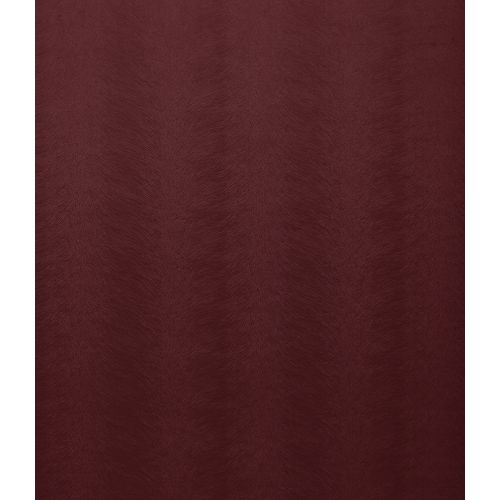 Allegra Wine
