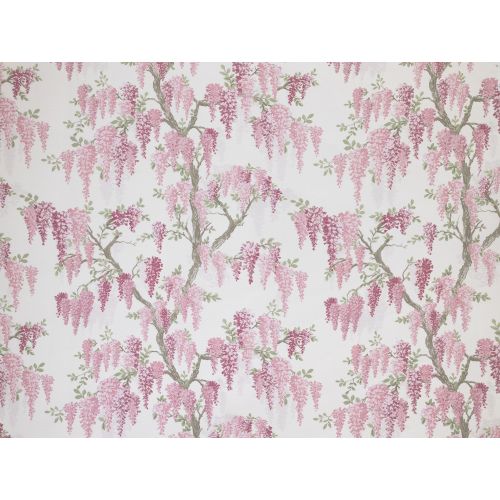 Wisteria Coral Pink